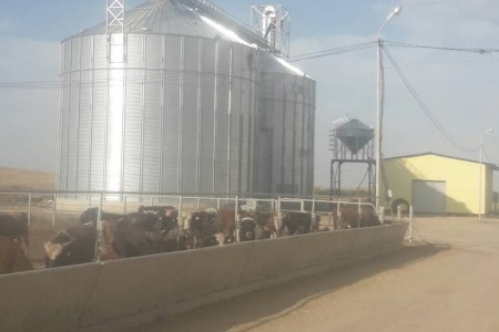 EMPIRE FOOD LIMITED 