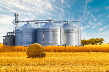 HMD FLOUR MILLS 